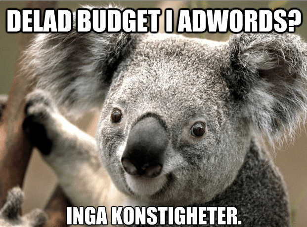 Adwords delad budget