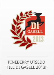 pineberry gasell företag di