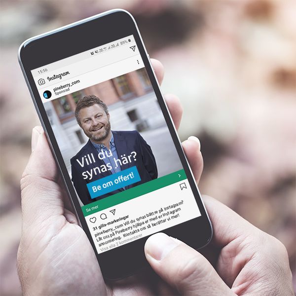 pineberry instagram on phone