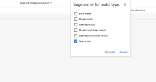 Search max Google Ads