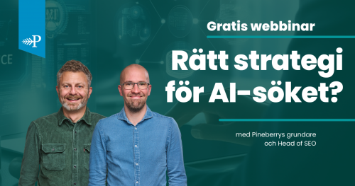 Rätt strategi för AI-söket med Michael Wahlgren och Björn Bydén